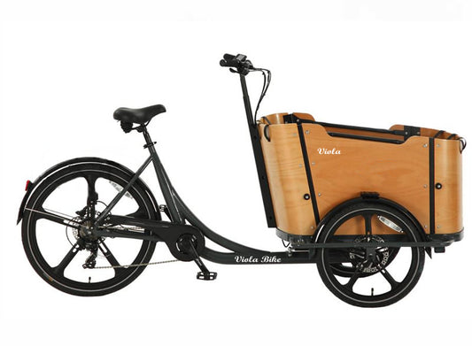 Cargo Bike CURVY motore centr.