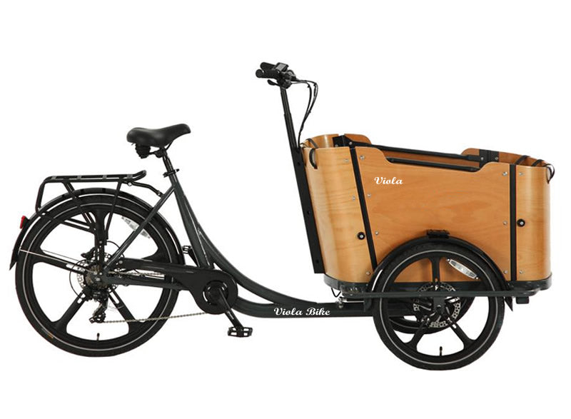 Cargo Bike CURVY Motore Post.