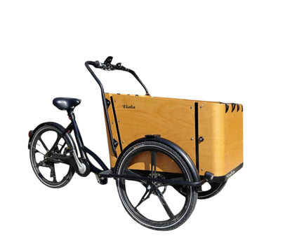 Cargo Bike SUN motore post.