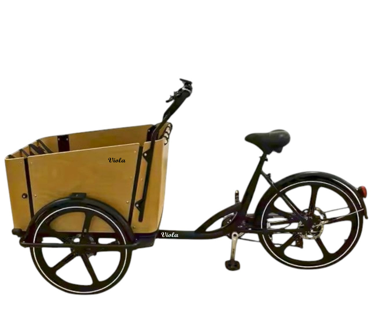 Cargo Bike SUN motore post.