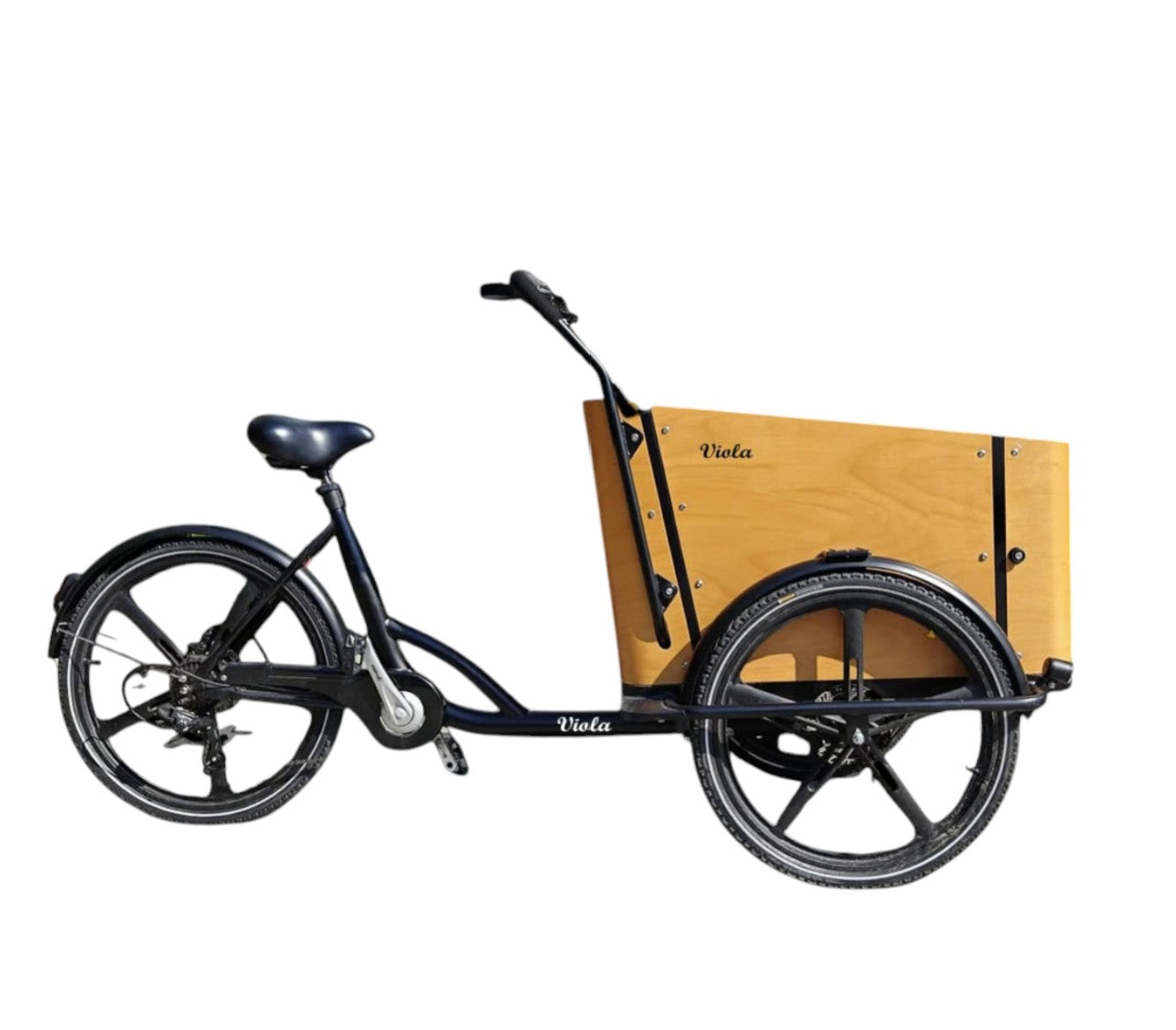 Cargo Bike SUN motore post.