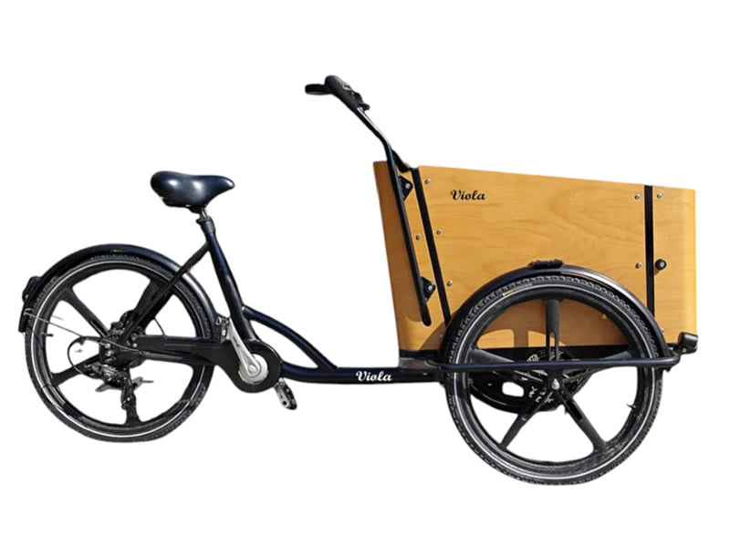 Cargo Bike SUN motore post.