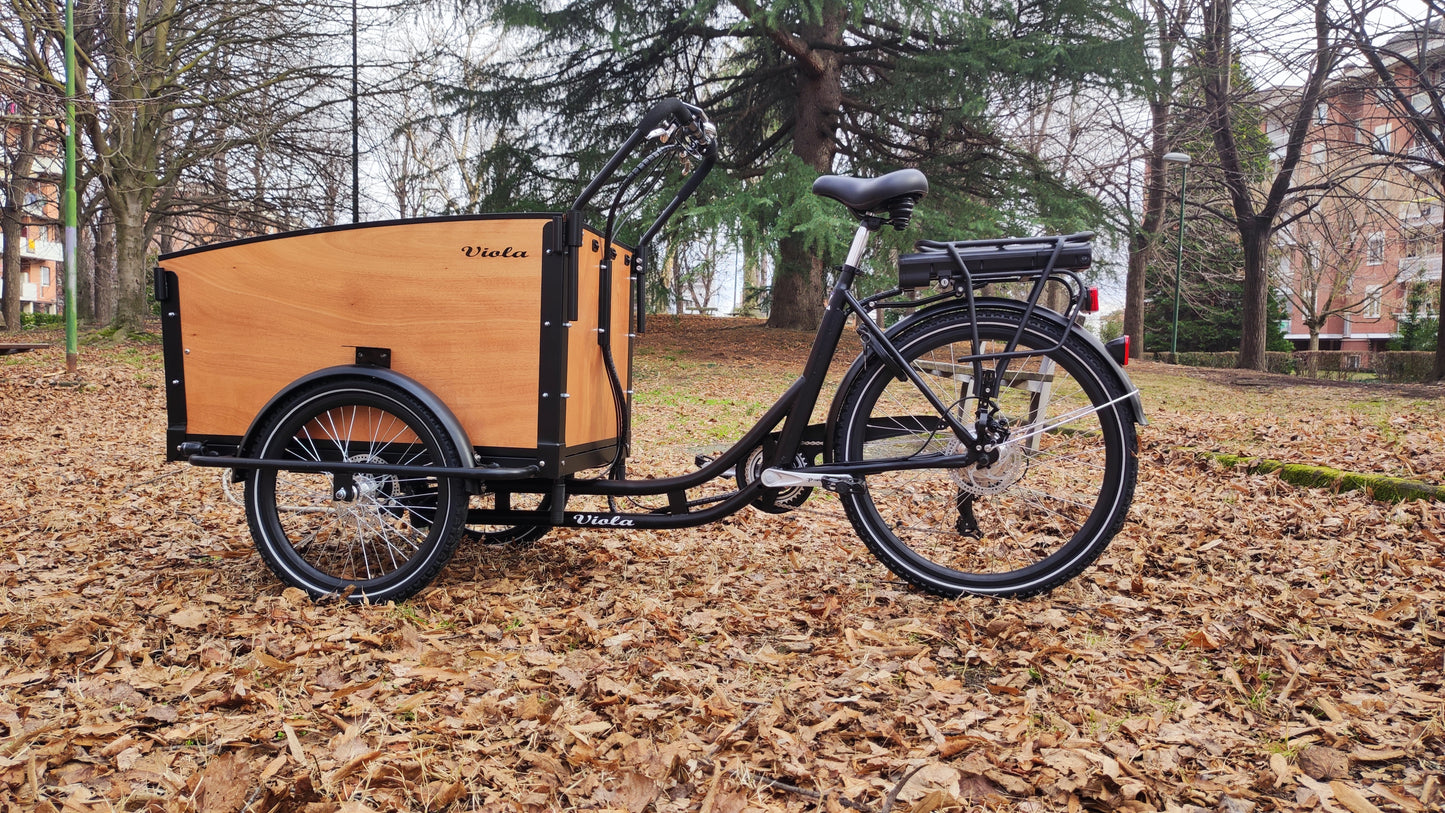 Cargo Bike Kangaroo